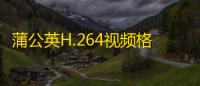 蒲公英H.264视频格式转换器 6.8.5.0 绿色版